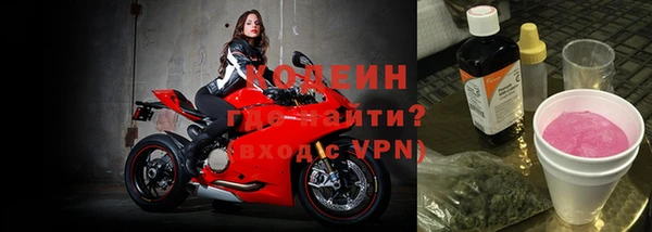 хмурый Арсеньев