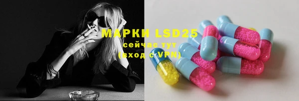хмурый Арсеньев
