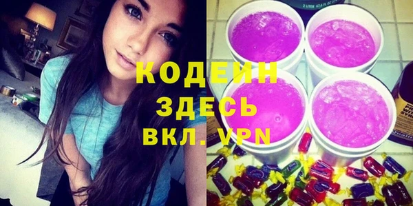 хмурый Арсеньев