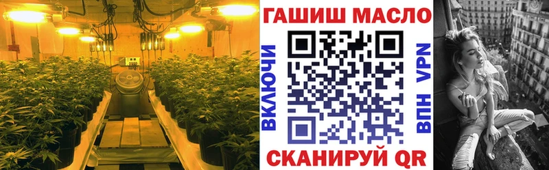 Купить закладки  Любим  ТГК концентрат 