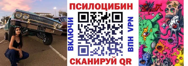 Купить где  Любим  Псилоцибиновые грибы GOLDEN TEACHER 